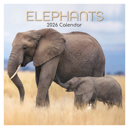 The Gifted Stationary Olifanten 16 maanden Kalender 2026