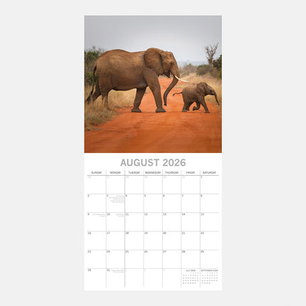 The Gifted Stationary Olifanten 16 maanden Kalender 2026
