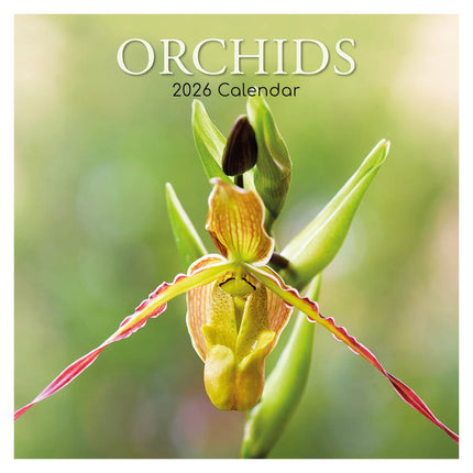 The Gifted Stationary Orchidee 16 Maanden Kalender 2026