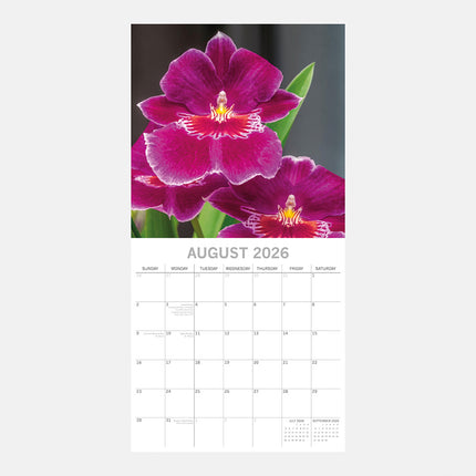 The Gifted Stationary Orchidee 16 Maanden Kalender 2026
