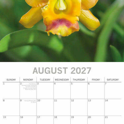 The Gifted Stationary Orchidee Kalender 2027