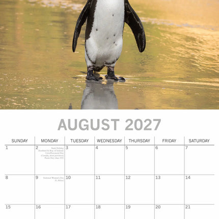 The Gifted Stationary Pinguïn Kalender 2027