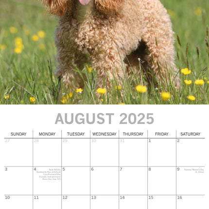 The Gifted Stationary Poedel Kalender 2025