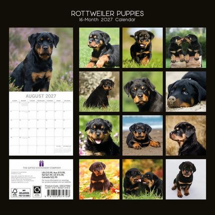 The Gifted Stationary Rottweiler Kalender 2027