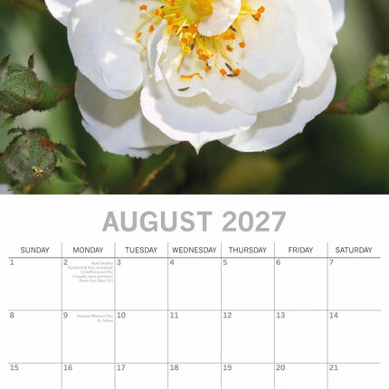 The Gifted Stationary Rozen Kalender 2027