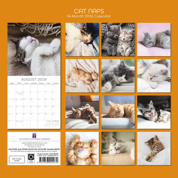 The Gifted Stationary Slapende Katten Kalender 2026