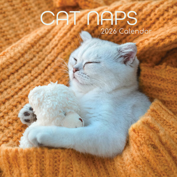 The Gifted Stationary Slapende Katten Kalender 2026