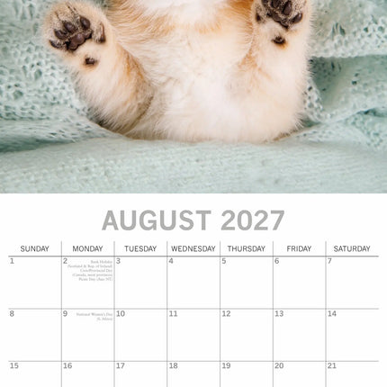 The Gifted Stationary Slapende Katten Kalender 2027