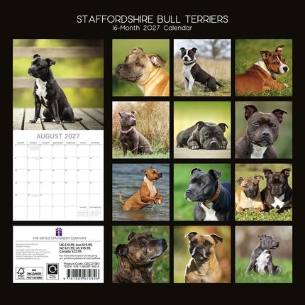 The Gifted Stationary Staffordshire Bull Terrier Kalender 2027