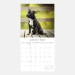 The Gifted Stationary Staffordshire Bull Terrier Kalender 2027