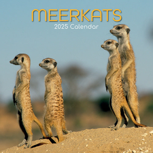 The Gifted Stationary Stokstaartjes Kalender 2025