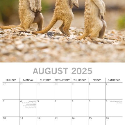 The Gifted Stationary Stokstaartjes Kalender 2025