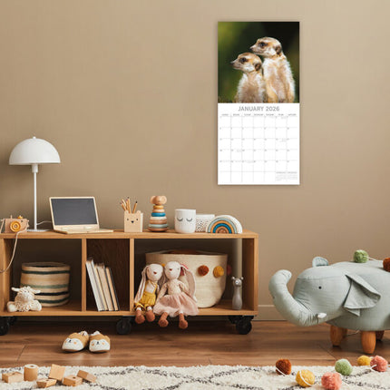The Gifted Stationary Stokstaartjes Kalender 2026