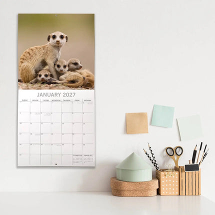 The Gifted Stationary Stokstaartjes Kalender 2027