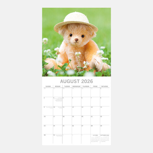 Calendario Da Parete 2025 Alpha Edition - 30x30 Cm, Design Moderno - Foto 7