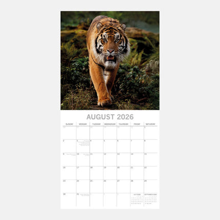 The Gifted Stationary Tijger Kalender 2027