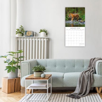The Gifted Stationary Tijger Kalender 2027