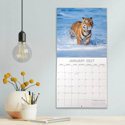 The Gifted Stationary Tijger Kalender 2027