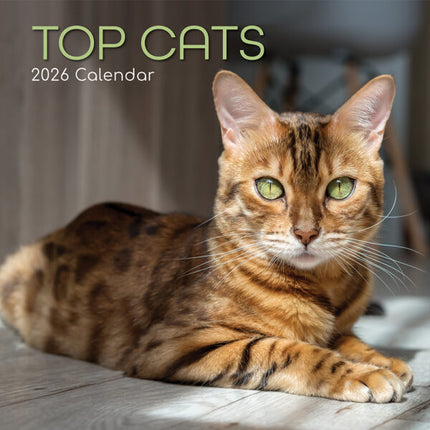 The Gifted Stationary Top Cats Kalender 2026