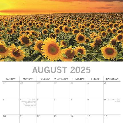 The Gifted Stationary Tranquility Kalender 2025