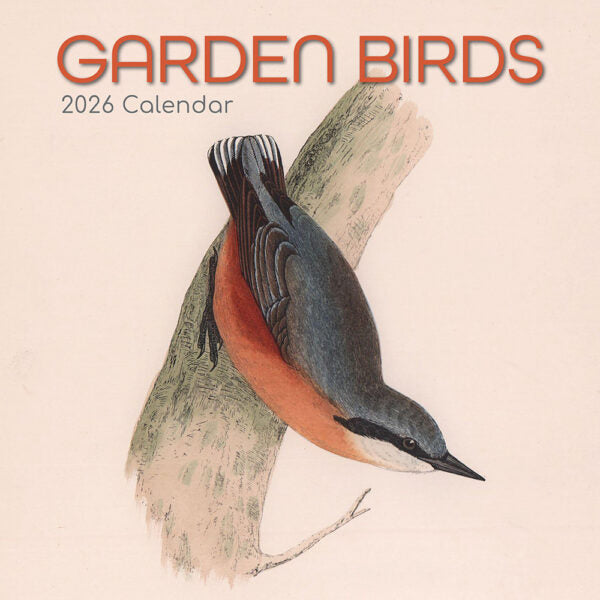 Vogelzauber - Calendario De Mesa 2026 Aves De Europa, Formato DIN A5, Espiral Plateado, Papel 250 Gr - Incluye 2 Etiquetas De Regalo (Navidad Y Felicitación)