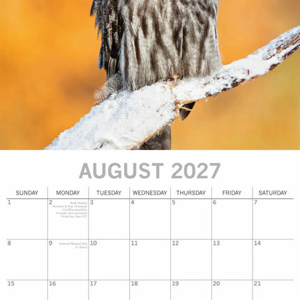 The Gifted Stationary Uilen Kalender 2027