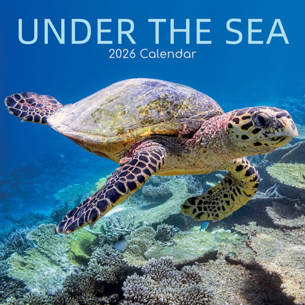 The Gifted Stationary Under the Sea Kalender 2026