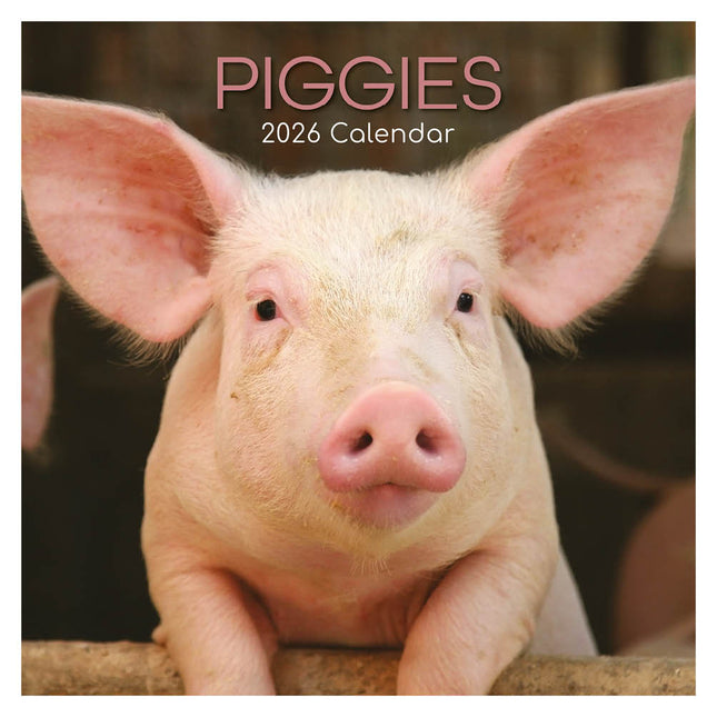 The Gifted Stationary Varken Kalender 2026