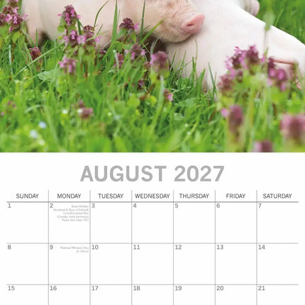 The Gifted Stationary Varken Kalender 2027