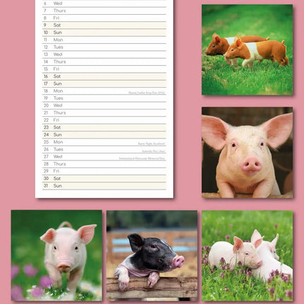 The Gifted Stationary Varkens Kalender Slimline 2027