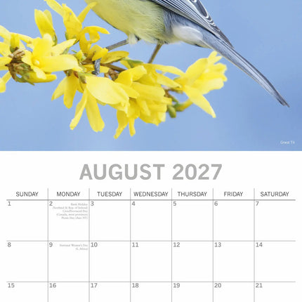 The Gifted Stationary Vogel Kalender 2027