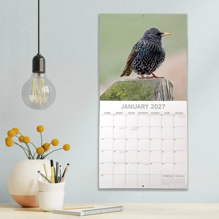 The Gifted Stationary Vogel Kalender 2027