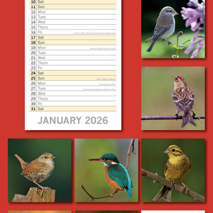 The Gifted Stationary Vogels Slimline Kalender 2026