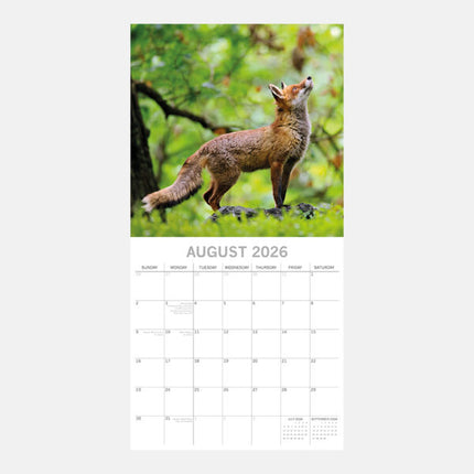 The Gifted Stationary Vossen Kalender 2026