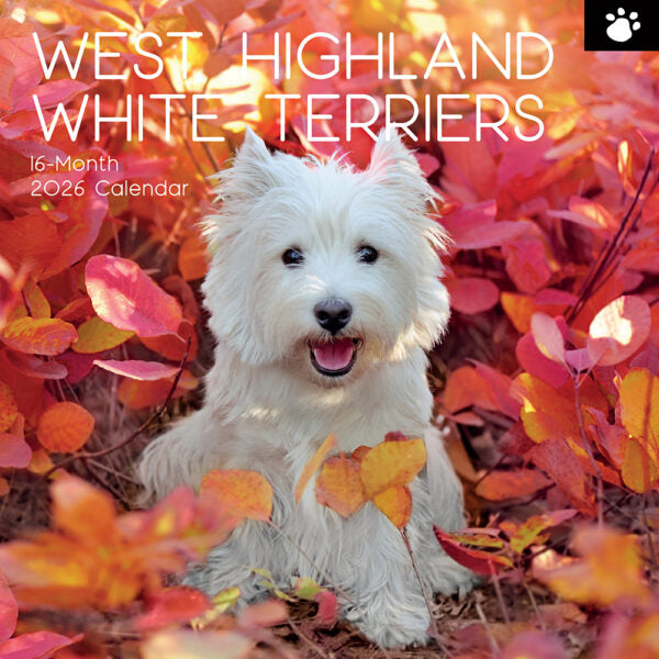 The Gifted Stationary West Highland White Terrier Kalender 2026