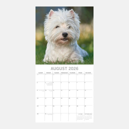 The Gifted Stationary West Highland White Terrier Kalender 2027