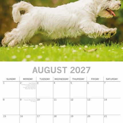 The Gifted Stationary West Highland White Terrier Kalender 2027