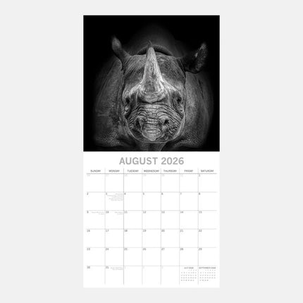 The Gifted Stationary Wild Portraits Kalender 2026