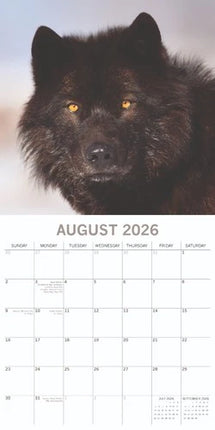 The Gifted Stationary Wolven Kalender 2026