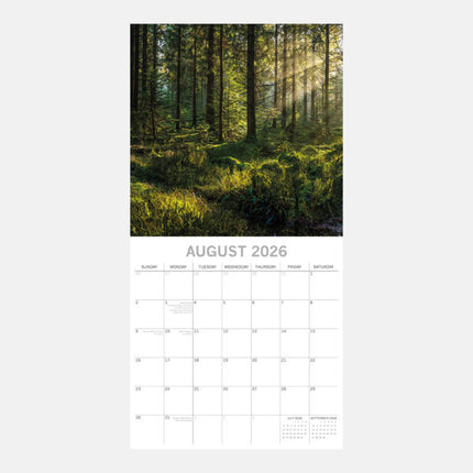 The Gifted Stationary Woodland Scenes Kalender 2026