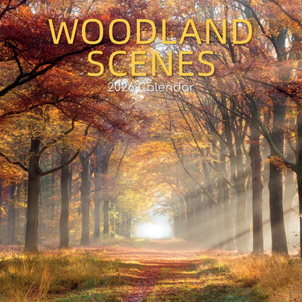 The Gifted Stationary Woodland Scenes Kalender 2026