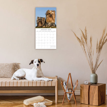 The Gifted Stationary Yorkshire Terrier Kalender 2026