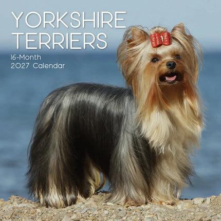 The Gifted Stationary Yorkshire Terrier Kalender 2027