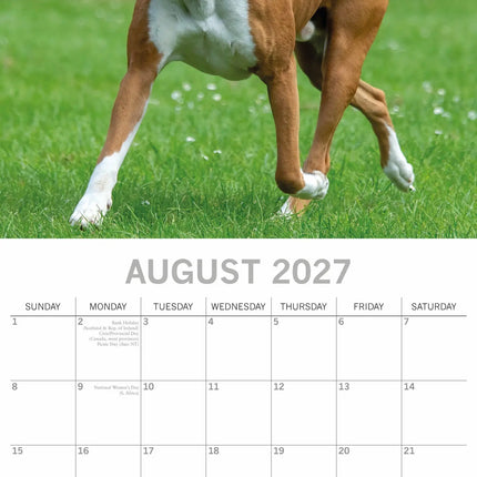 The Gifted Stationery Co. Boxer Kalender 2027