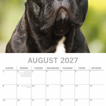 The Gifted Stationery Co. Franse Bulldog Kalender 2027