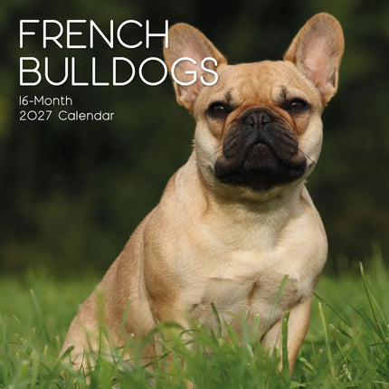 The Gifted Stationery Co. Franse Bulldog Kalender 2027