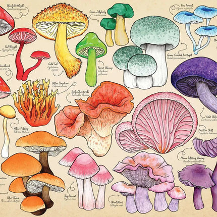 The House of Puzzles Mushroom Mania Puzzel 150 Mini Stukjes