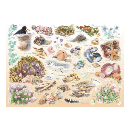 The House of Puzzles Sea Shore Puzzel 500 XL Stukjes