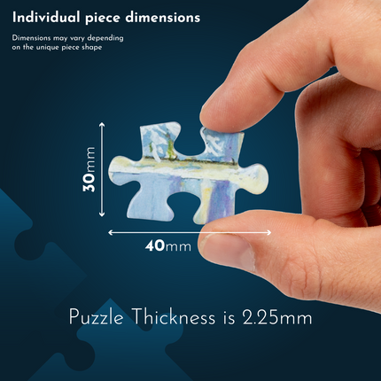 The House of Puzzles Village Fayre Puzzel 500 XL Stukjes Find The Difference