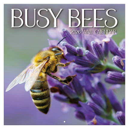 TL Turner Busy Bees Kalender 2026